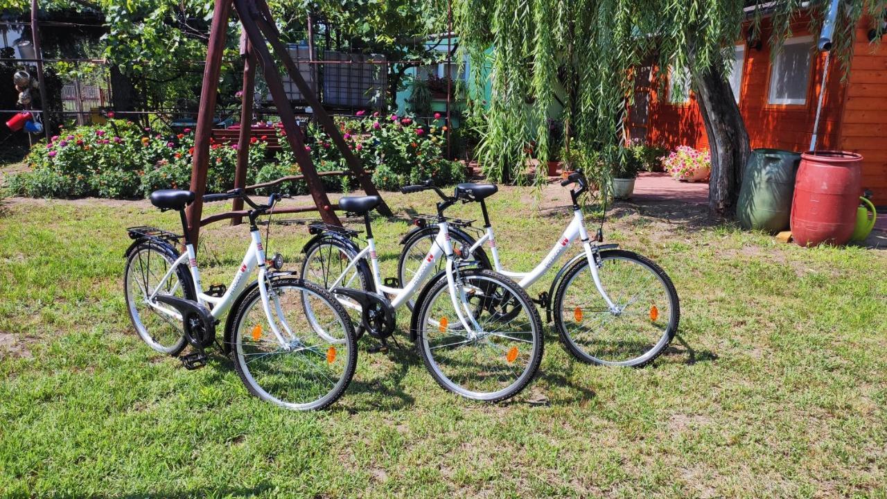 ホテルOpusztaszeri Mozes Vendeghaz エクステリア 写真