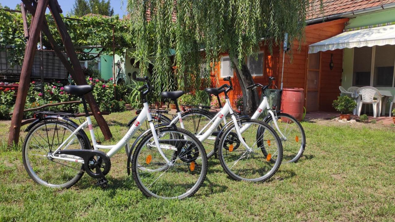 ホテルOpusztaszeri Mozes Vendeghaz エクステリア 写真